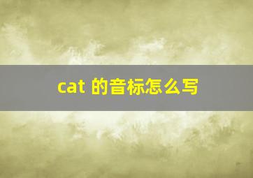 cat 的音标怎么写